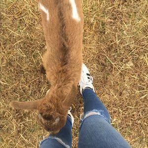 Meet your Posher, Madison